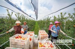 <strong>我市全力提拔果业对外能级</strong> <strong>我市全力提拔果业对外能级</strong>